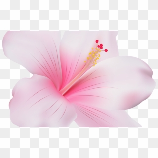 Emoji Png Hibiscus Flower Transparent Pictures Wwwpicturesbosscom - Pink Hibiscus Flower Png Clipart