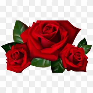 Transparent Red Rose Clip Art - Transparent Background Rose Png