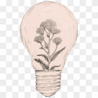 Black And White Stock Idea Aesthetics Art Sketch Bulb - Light Bulb With Plant Inside Tattoo Clipart