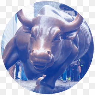Pros - Bull Market Clipart