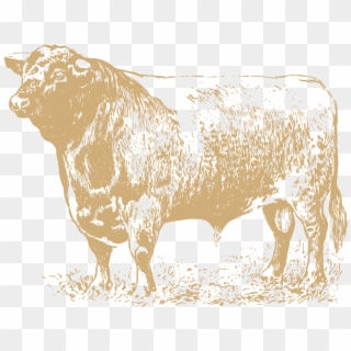 The Bull Inn Fullers - Beef Cow Clip Art - Png Download