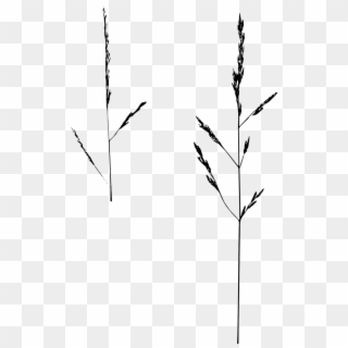 Game Grass Isolated Nature - Twig Clipart