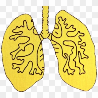 Lungs Yellow Aesthetic Vaporwave Tumblr - Hazel Grace Lancaster Aesthetic Clipart