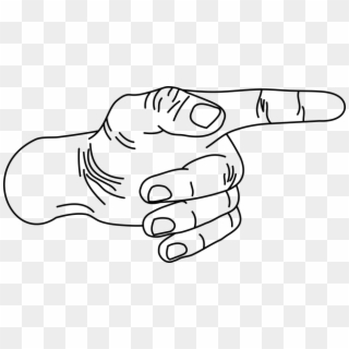 The Hand, Hand, Fingers, Body, Thumb - Hand Clipart
