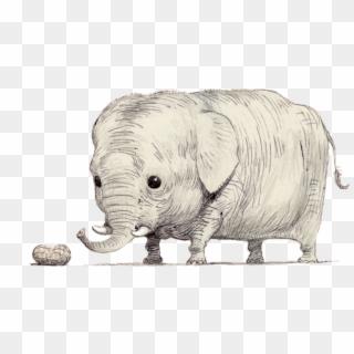 Drawing Elephants Eyes - Midget Elephant Clipart