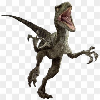 Jurassic World Dinosaur Png , Png Download - Jurassic Park Velociraptor Png Clipart