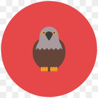 This Icon Represents A Falcon - Hawk Clipart