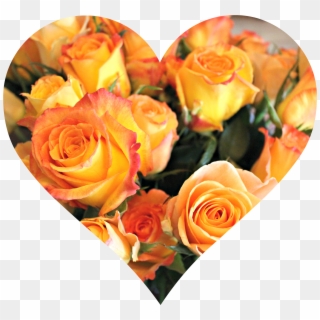 Heart Of Roses - Floribunda Clipart