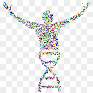 The Computer Science Behind Dna Sequencing - Dna Human Clipart