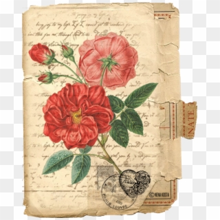 Espero Que, Ya Que Parece Que Quiere Se Adelantarse, - Vintage Red Rose Illustration Clipart