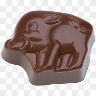Praline "wild Boar" - Chocolate Clipart