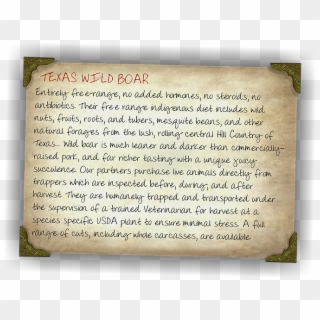 In The 1930s, Eurasian Wild Boars Were Brought To Texas - Handwriting Clipart