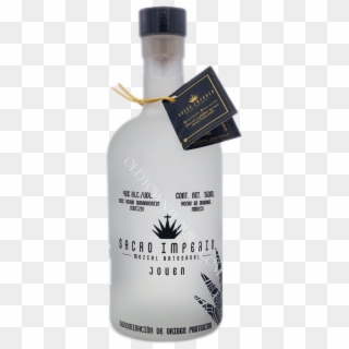 Bottle Clipart