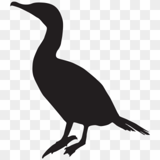 Anhinga - Cormorant Silhouette Clipart