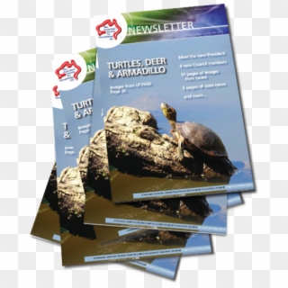 September - Tortoise Clipart