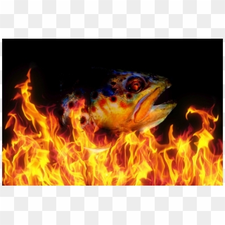 Fire Generic Clipart