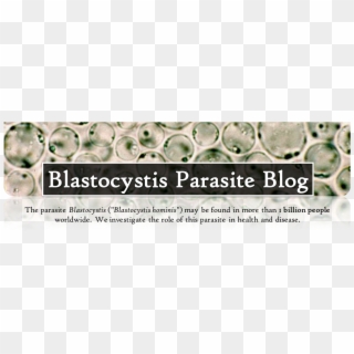 Billede31 - Blastocystis Parasite Clipart