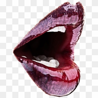 Lips Teeth Transparent - You Can T Photoshop An Ugly Personality Clipart