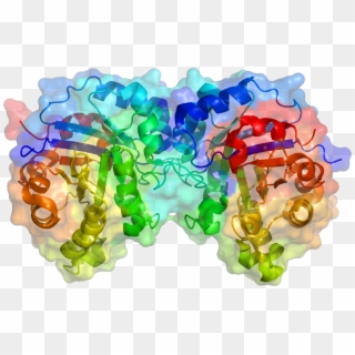 Tpi1 Structure - Enzima Bioquimica Clipart