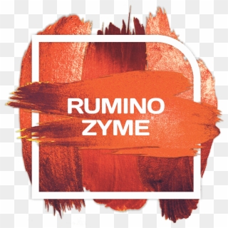 Zyme - Graphic Design Clipart