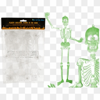 Esqueleto De Plástico Para Colgar - Skeleton Clipart