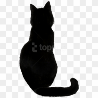 Free Png Download Black Cat Png Images Background Png - Back Of A Black Cat Clipart
