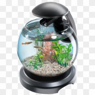 Aquarium Png - Aquarium Tetra Cascade Globe Clipart