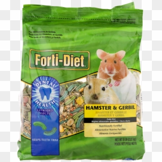 Rat Clipart