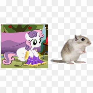 Cute, Gerbil, Rodent, Safe, Sweetie Belle, Sweetie - Mouse Clipart