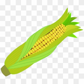 Icon Corn Cob - Maize Svg Clipart