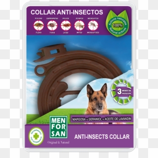 Anti-insect Collar For Dogs - Anti Insect Dog Collar Clipart