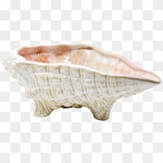 Large 15" Conch Shell Bowl By Pottery Barn On Chairish - Ceramic Clipart
