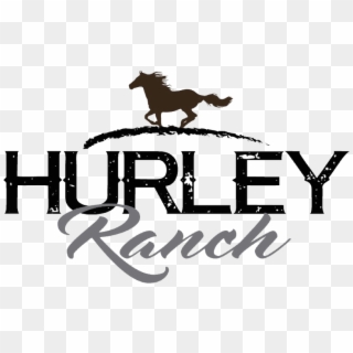 Hurley Ranch & Realty Came To Us Wanting To Address - Stallion Clipart