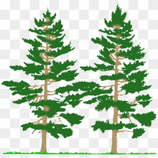 Cnc Pine Tree Scenery Clipart & Clip Art Images - Coniferous Forest Clip Art - Png Download