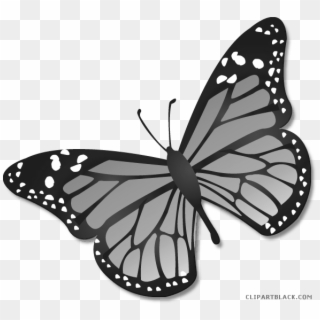 Monarch Butterfly Clipart Black And White - Transparent Background Monarch Butterfly Clipart - Png Download