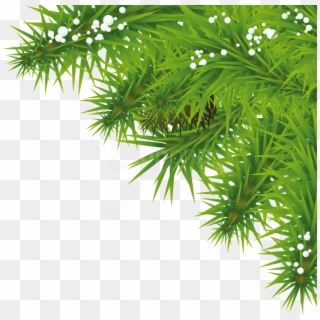 Download Fir Tree Clipart Png Photo - Png Tree Background Hd Transparent Png