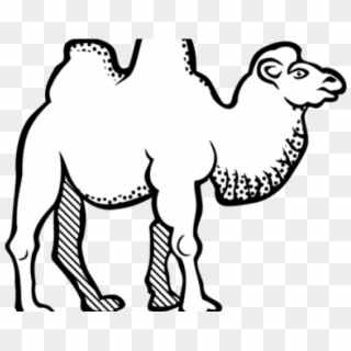 Camel Clipart Camel Train - Clip Art Black And White Camel - Png Download