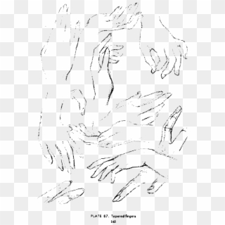 Andrew Loomis Drawing The Head And Hands 132 - Line Art Clipart