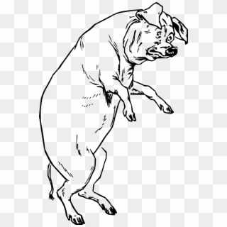 The Pig Who Had None - Pig On Hind Legs Clipart