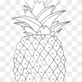 Pineapple Pictures To Colour Clipart