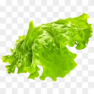 Green Png Transparent Image - Iceburg Lettuce Clipart