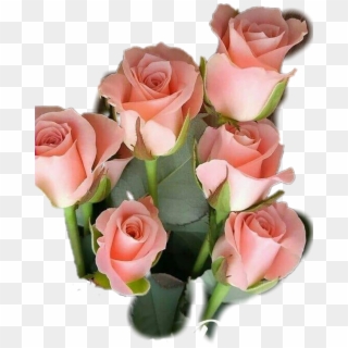 #flores #rosas - Beautiful Good Morning Happy Sunday Clipart