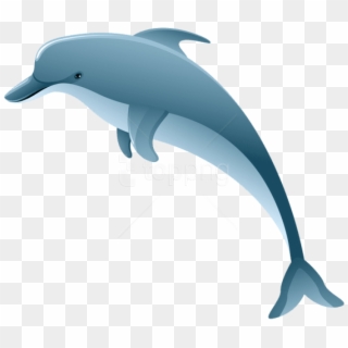 Free Png Download Dolphin Clipart Png Photo Png Images - Dolphin Clipart No Background Transparent Png