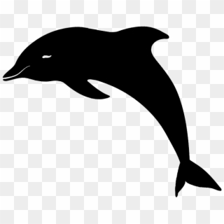 #mq #black #dolphin #silhouette #animal - Common Bottlenose Dolphin Clipart
