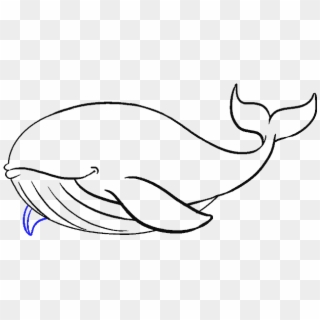 Drawing Shark Easy - Blue Whales To Draw Clipart