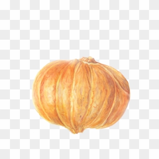 Pumpkin Clipart