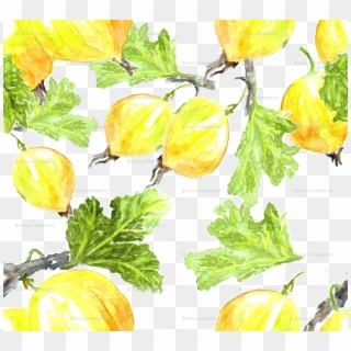 Transparent Clipart - Png Download