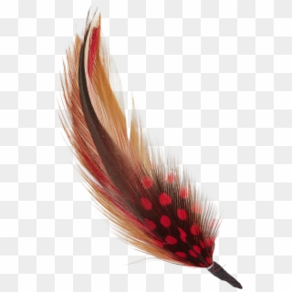 Hat Feather Png Clipart