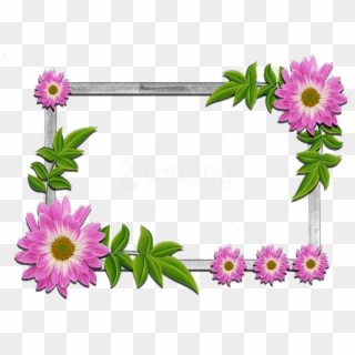 Free Png Flowers Frame Png Images Transparent - Beautiful Frames For Photos Free Download Clipart