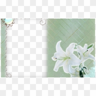 White Flower Frame Png Transparent Png Mart - Portable Network Graphics Clipart